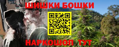 гидра Гатчина